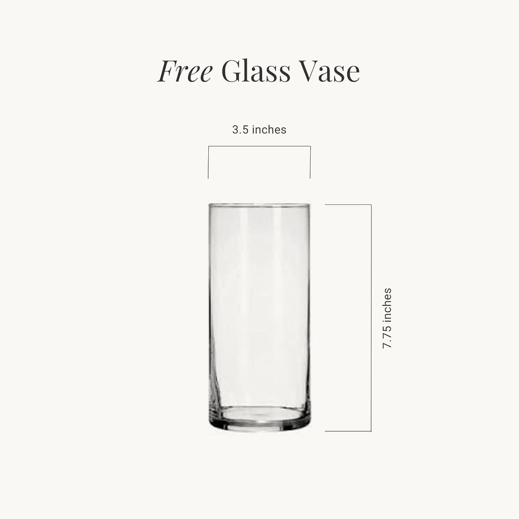 BloomsyBox – Bright Moments (Glass Vase Included) – Fresh Flowers for Delivery – Special for Birthday, Anniversary, Get Well, Congratulations, Wedding