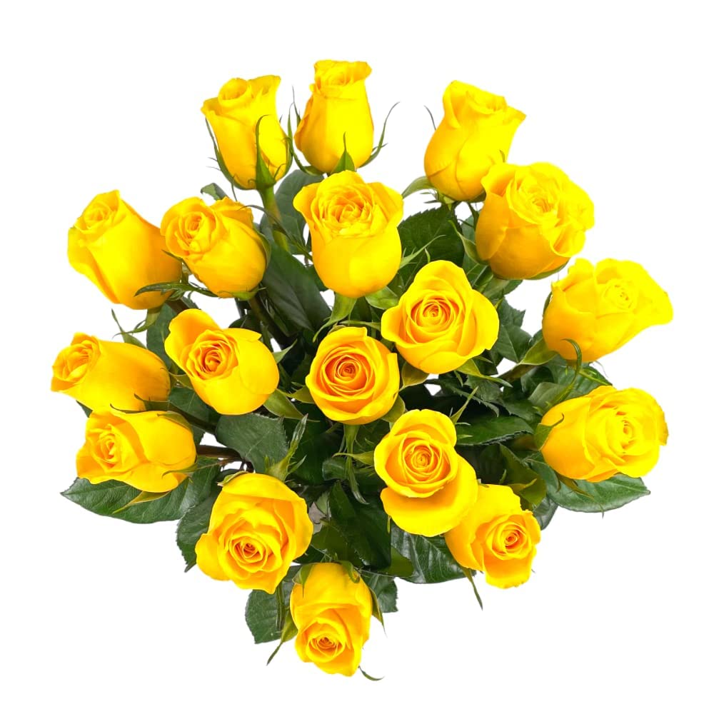 25 Pink Roses | Arabella Bouquets | Real Fresh Flowers for Delivery, Gift for Birthday Women, Congratulations, Anniversary, Thank You, Mother's Day