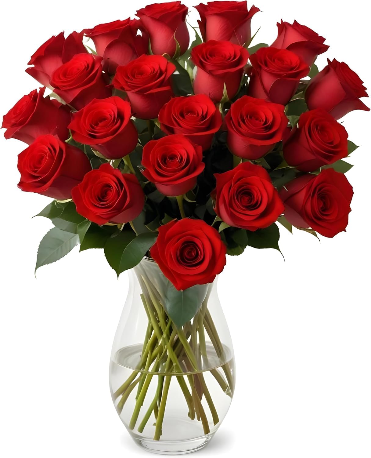 25 Pink Roses | Arabella Bouquets | Real Fresh Flowers for Delivery, Gift for Birthday Women, Congratulations, Anniversary, Thank You, Mother's Day