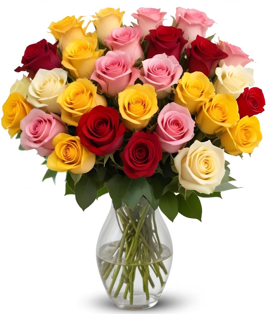 25 Pink Roses | Arabella Bouquets | Real Fresh Flowers for Delivery, Gift for Birthday Women, Congratulations, Anniversary, Thank You, Mother's Day