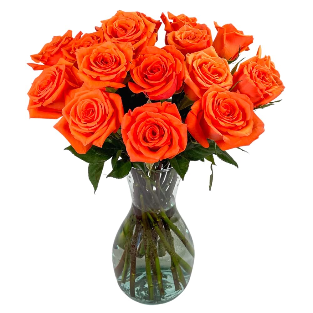 25 Pink Roses | Arabella Bouquets | Real Fresh Flowers for Delivery, Gift for Birthday Women, Congratulations, Anniversary, Thank You, Mother's Day