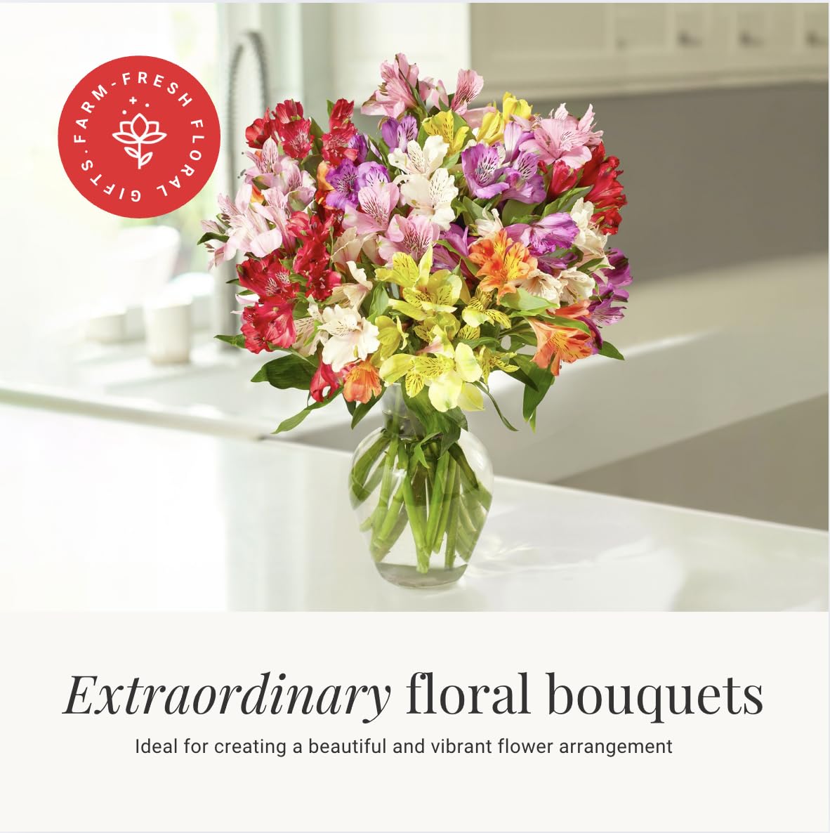 24 Multicolored Alstroemeria Bouquet Flowers, Long Lasting & Hand-Tied, Farm Fresh Cut Flowers Bouquet - Gift for Birthday, Anniversary, Mothers Day Flowers | No Vase.