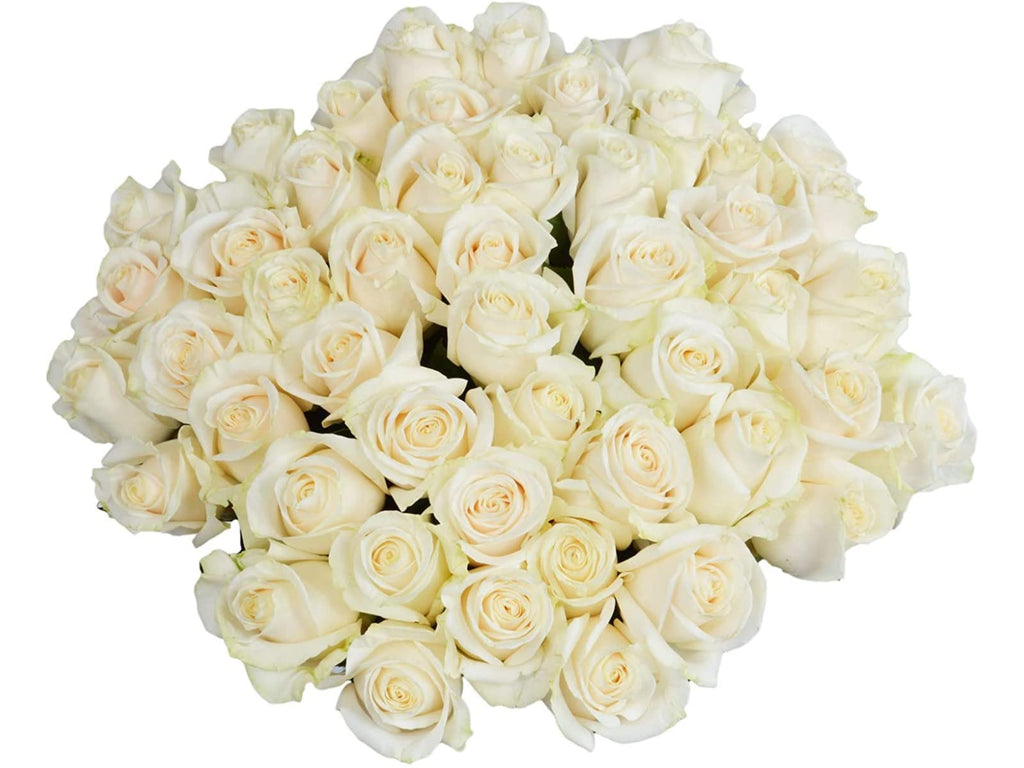 25 Pink Roses | Arabella Bouquets | Real Fresh Flowers for Delivery, Gift for Birthday Women, Congratulations, Anniversary, Thank You, Mother's Day