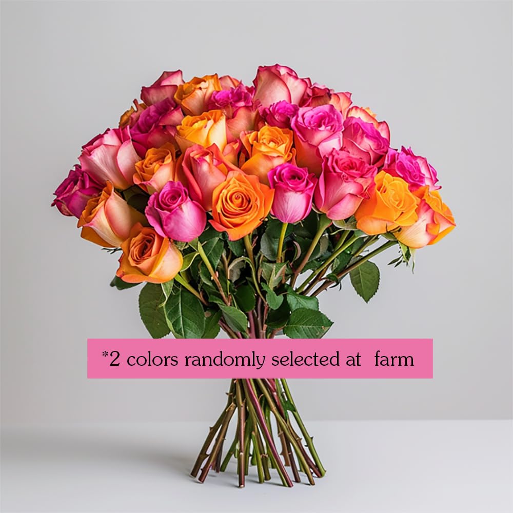 GlobalRose 100 Assorted Roses Bouquet - Responsibly Sourced Roses Fresh Flowers - Hand-Picked Flowers Fresh Bouquet for Mother's Day, Birthday & Special Occasions (4 Bunches of 25 Stems)