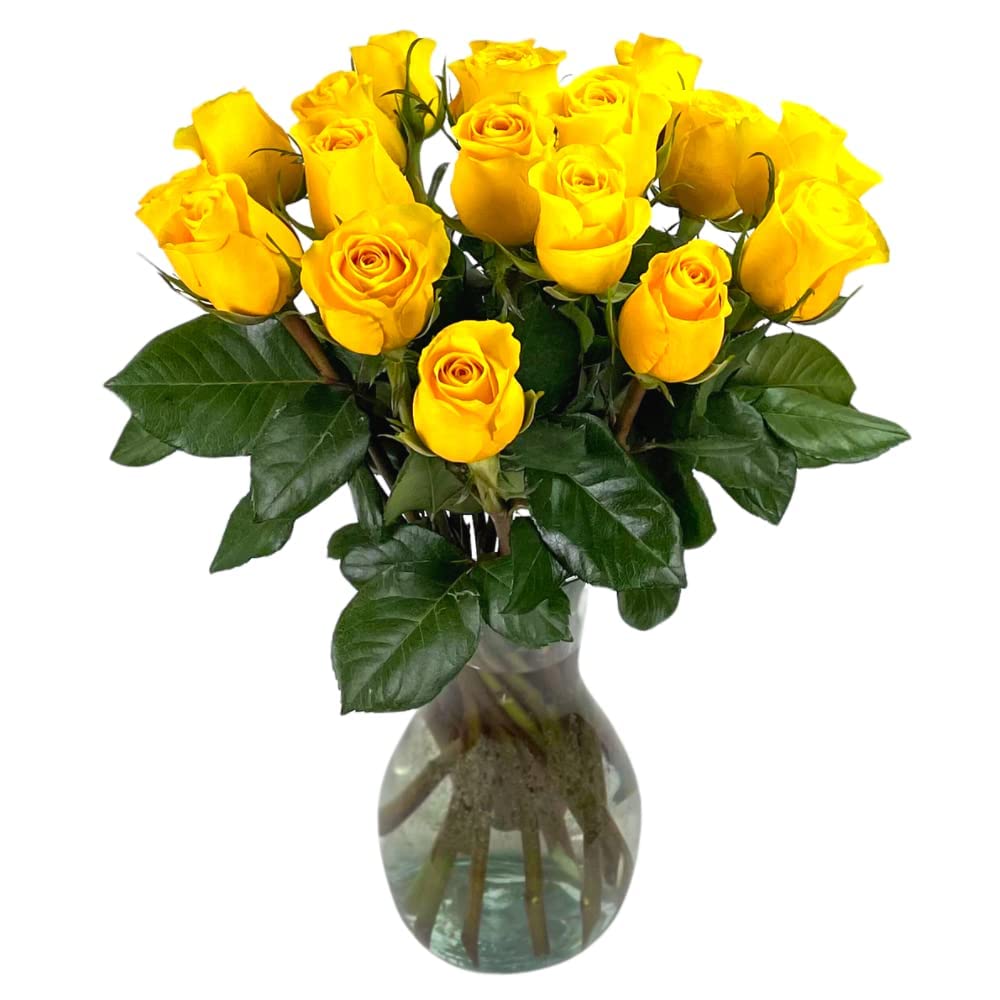 25 Pink Roses | Arabella Bouquets | Real Fresh Flowers for Delivery, Gift for Birthday Women, Congratulations, Anniversary, Thank You, Mother's Day