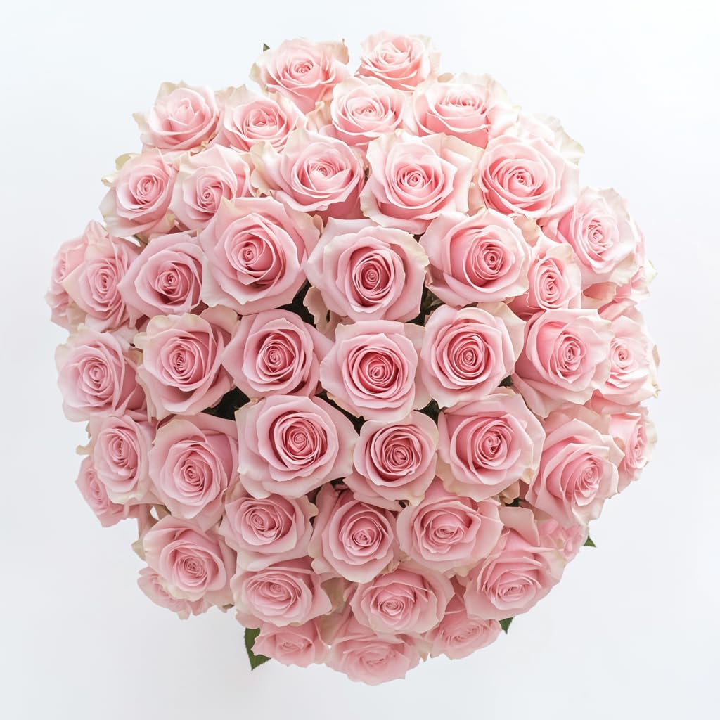 GlobalRose 100 Assorted Roses Bouquet - Responsibly Sourced Roses Fresh Flowers - Hand-Picked Flowers Fresh Bouquet for Mother's Day, Birthday & Special Occasions (4 Bunches of 25 Stems)