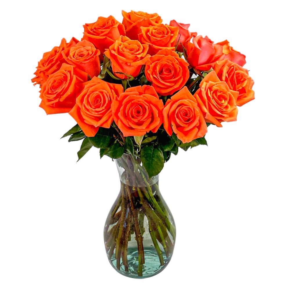 25 Pink Roses | Arabella Bouquets | Real Fresh Flowers for Delivery, Gift for Birthday Women, Congratulations, Anniversary, Thank You, Mother's Day
