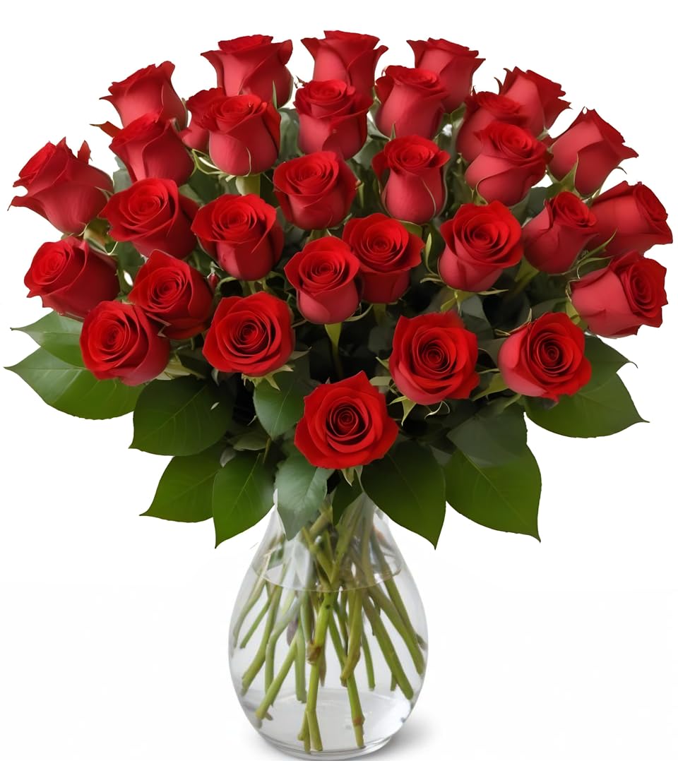 25 Pink Roses | Arabella Bouquets | Real Fresh Flowers for Delivery, Gift for Birthday Women, Congratulations, Anniversary, Thank You, Mother's Day