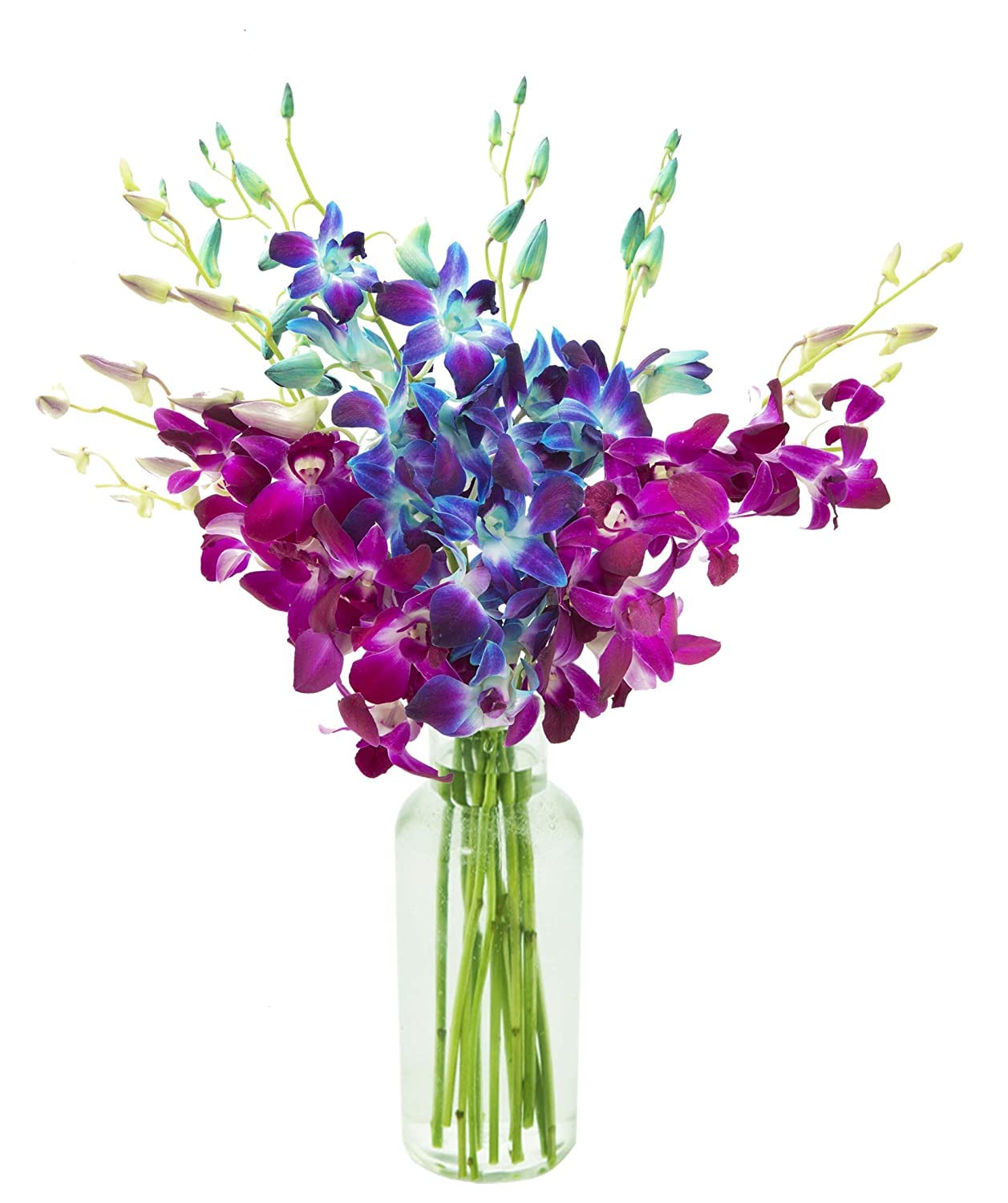 KaBloom - Bouquet of 20 Exotic Purple Dendrobium Orchids from Thailand with Vase - Fresh Flowers for Birthday, Valentine's & Mother's Day