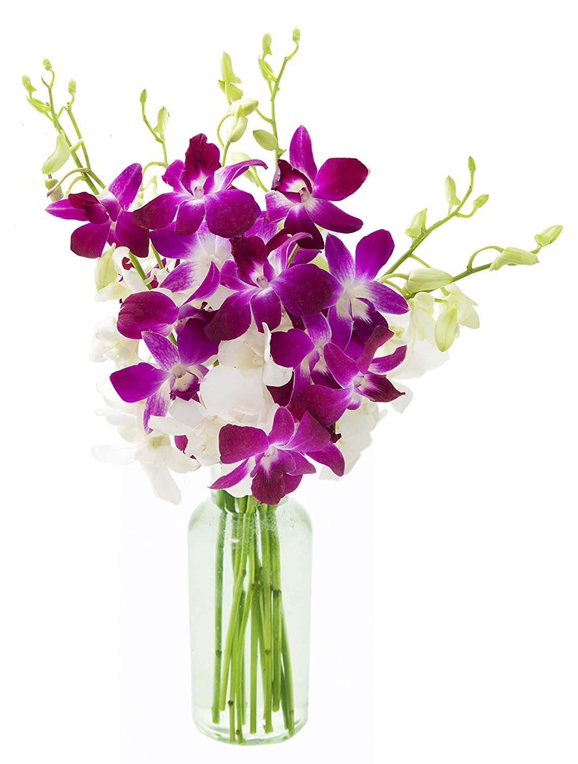 KaBloom - Bouquet of 20 Exotic Purple Dendrobium Orchids from Thailand with Vase - Fresh Flowers for Birthday, Valentine's & Mother's Day