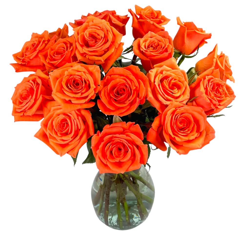 25 Pink Roses | Arabella Bouquets | Real Fresh Flowers for Delivery, Gift for Birthday Women, Congratulations, Anniversary, Thank You, Mother's Day
