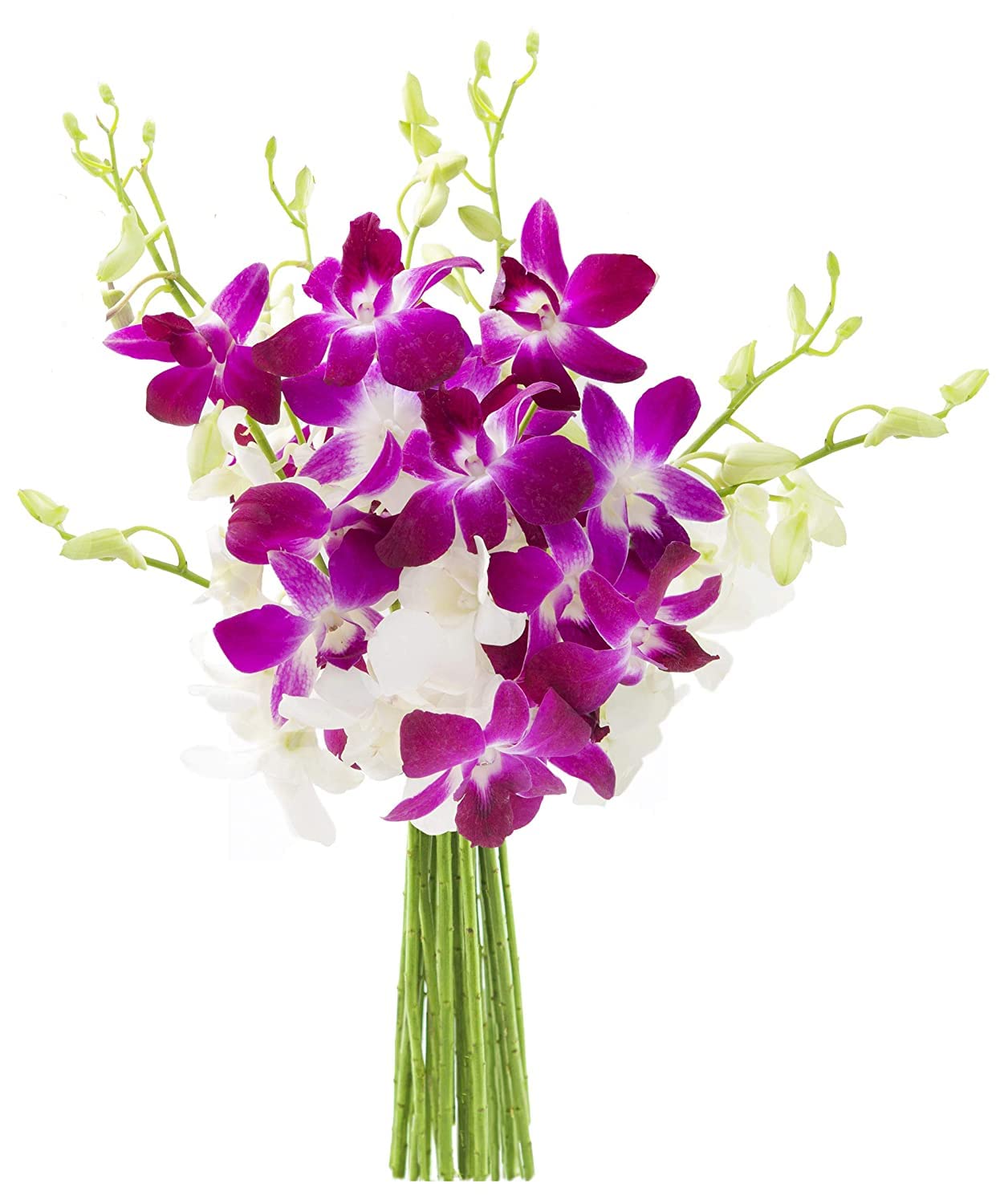 KaBloom - Bouquet of 20 Exotic Purple Dendrobium Orchids from Thailand with Vase - Fresh Flowers for Birthday, Valentine's & Mother's Day