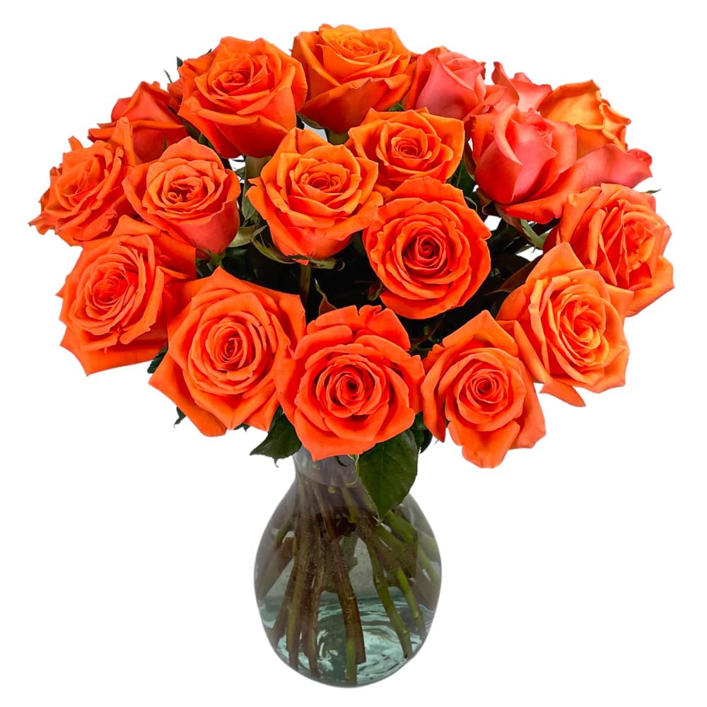 25 Pink Roses | Arabella Bouquets | Real Fresh Flowers for Delivery, Gift for Birthday Women, Congratulations, Anniversary, Thank You, Mother's Day