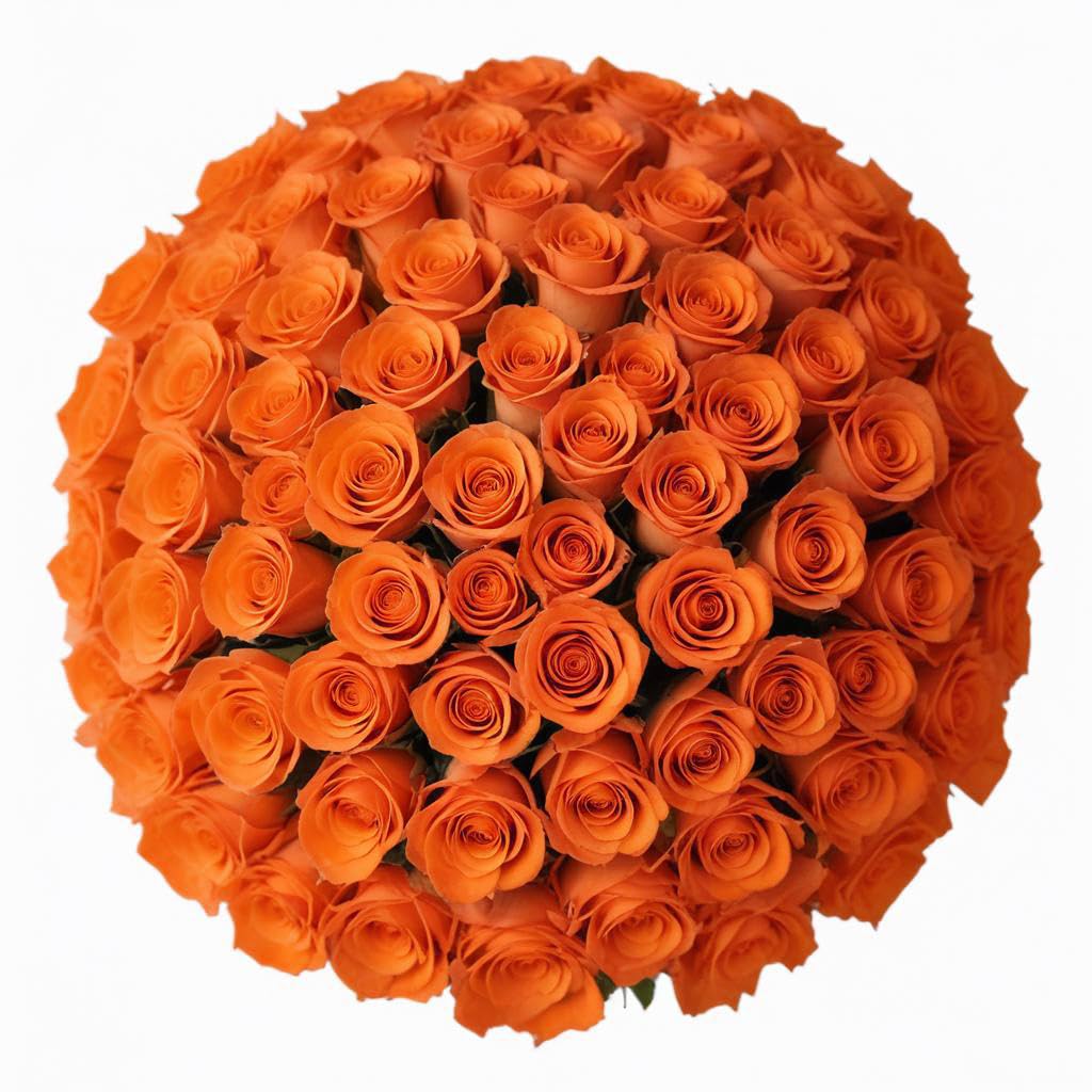 25 Pink Roses | Arabella Bouquets | Real Fresh Flowers for Delivery, Gift for Birthday Women, Congratulations, Anniversary, Thank You, Mother's Day