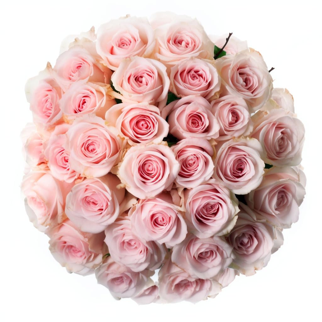 GlobalRose 100 Assorted Roses Bouquet - Responsibly Sourced Roses Fresh Flowers - Hand-Picked Flowers Fresh Bouquet for Mother's Day, Birthday & Special Occasions (4 Bunches of 25 Stems)