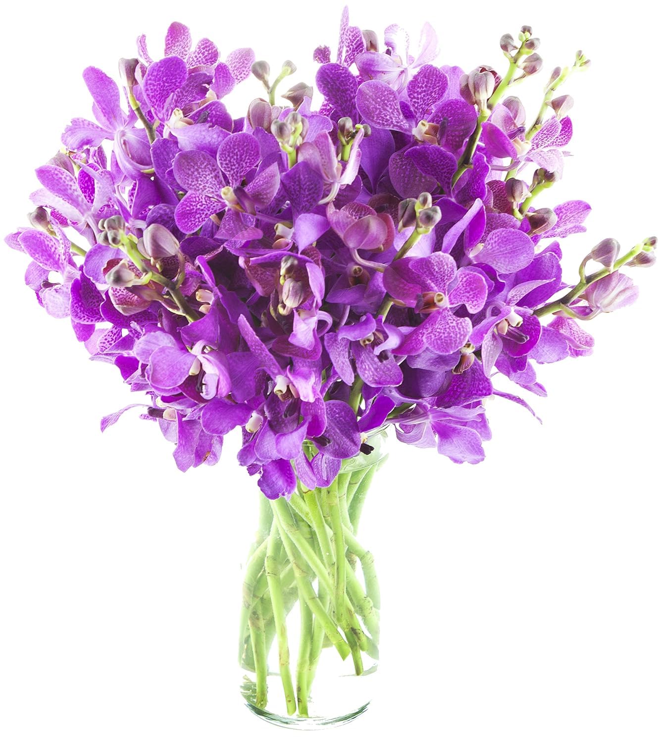 KaBloom - Bouquet of 20 Exotic Purple Dendrobium Orchids from Thailand with Vase - Fresh Flowers for Birthday, Valentine's & Mother's Day