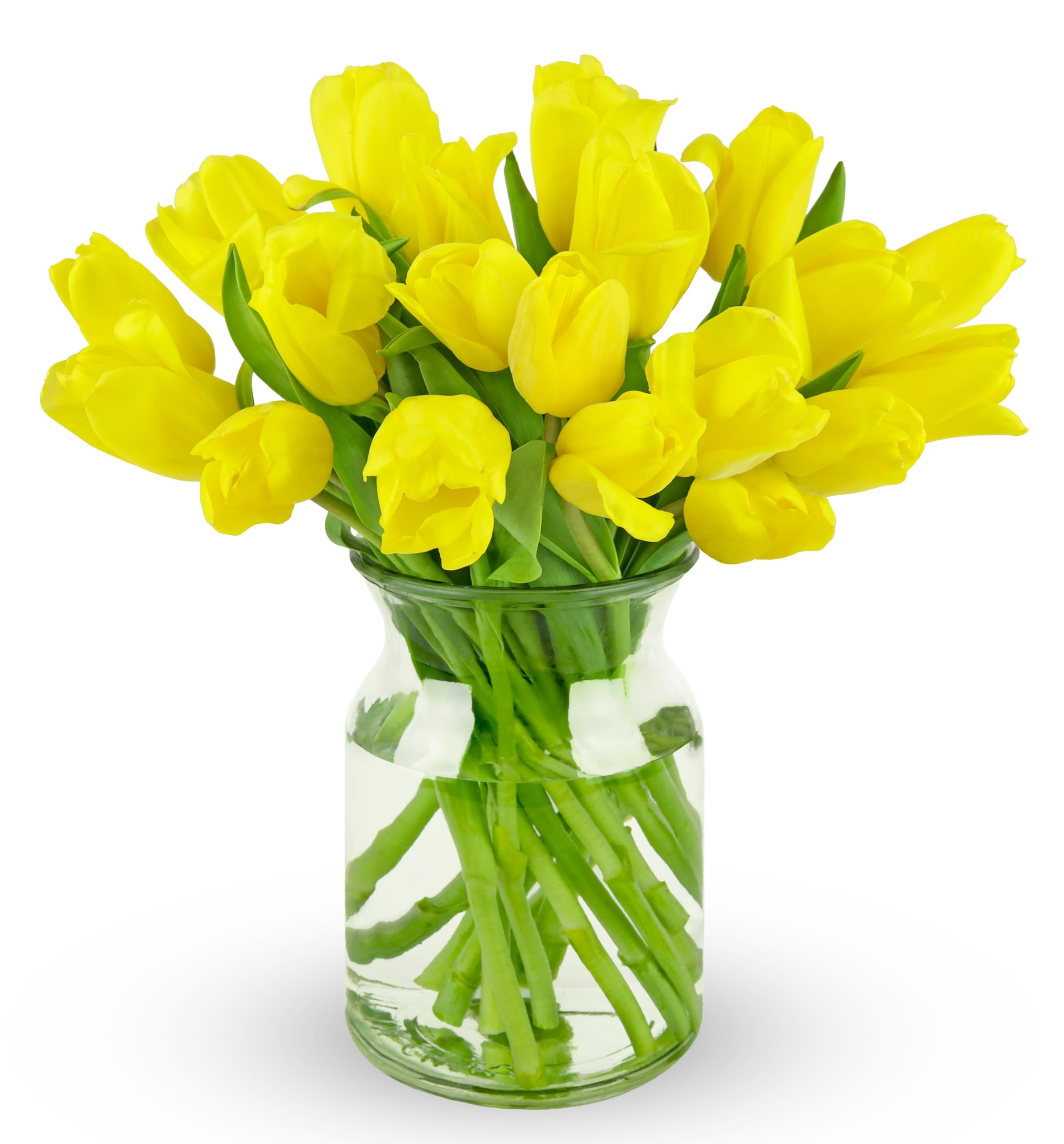 Benchmark Bouquets Pink Tulips – Mothers Day Flowers for Mom – Fresh Flowers for Delivery – Pink Bouquet – Birthday Gifts for Women – Fresh Cut Tulips – Glass Vase Included (20 Stems)