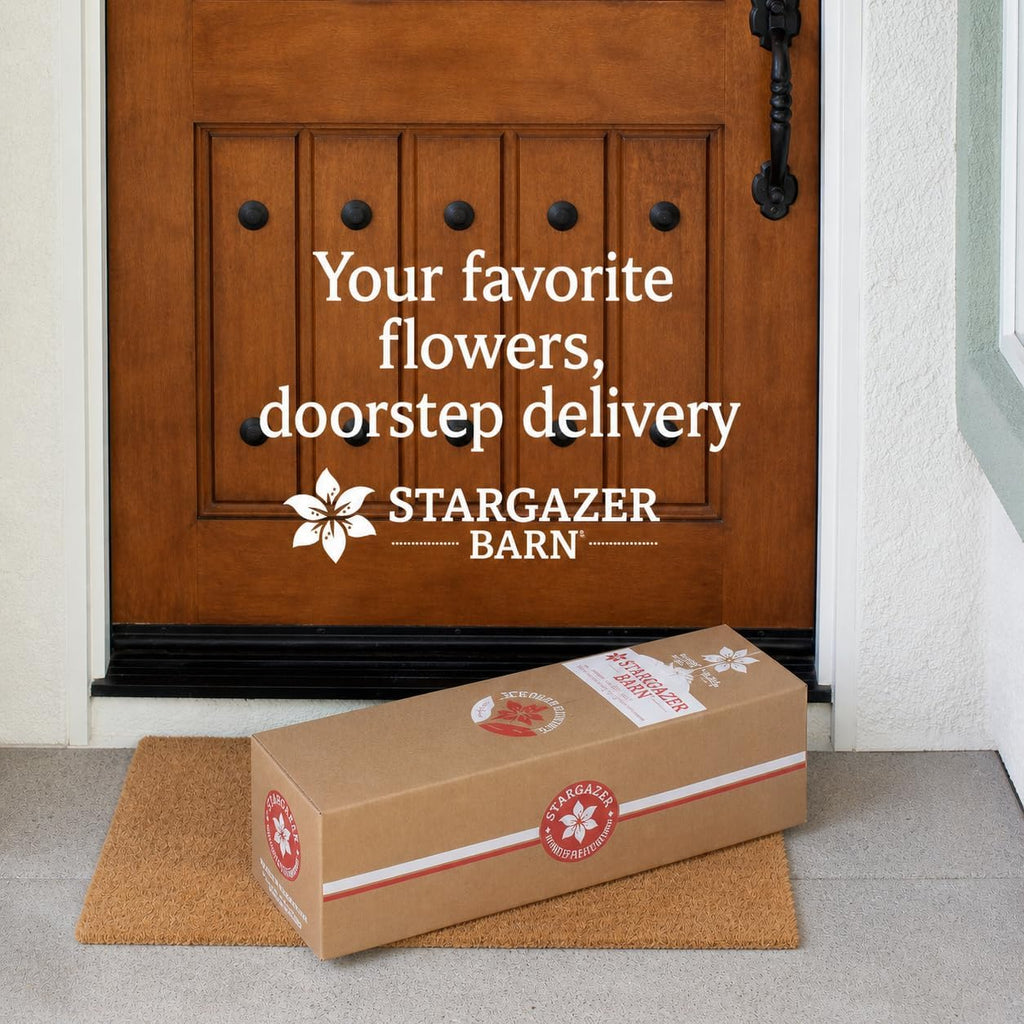 Stargazer Barn – Wildflower Bouquet with Vase – Mother’s Day Flowers for Mom – Fresh Flower Delivery, Farm Fresh, Hand-Tied in USA, Ready to Gift