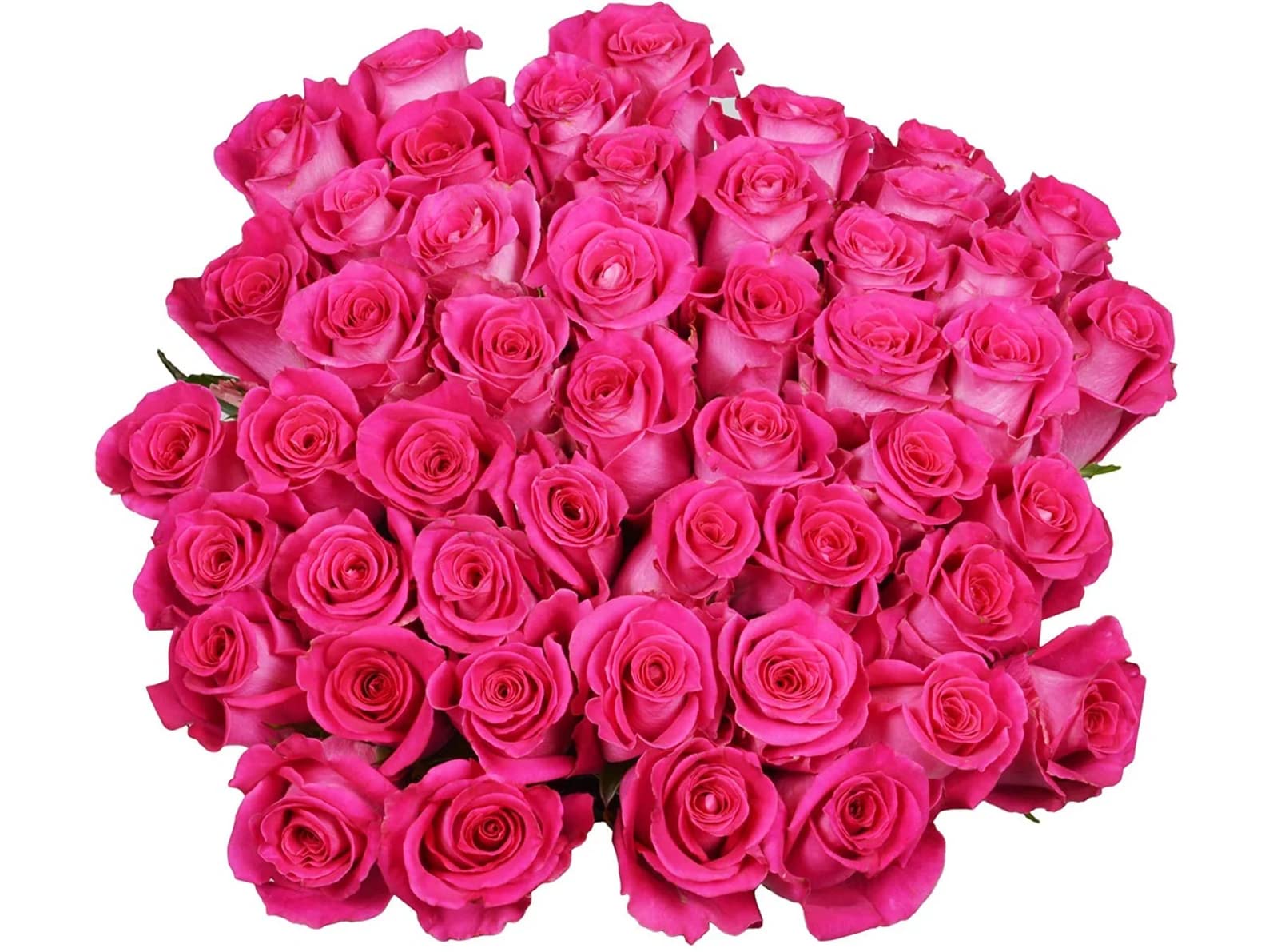 25 Pink Roses | Arabella Bouquets | Real Fresh Flowers for Delivery, Gift for Birthday Women, Congratulations, Anniversary, Thank You, Mother's Day