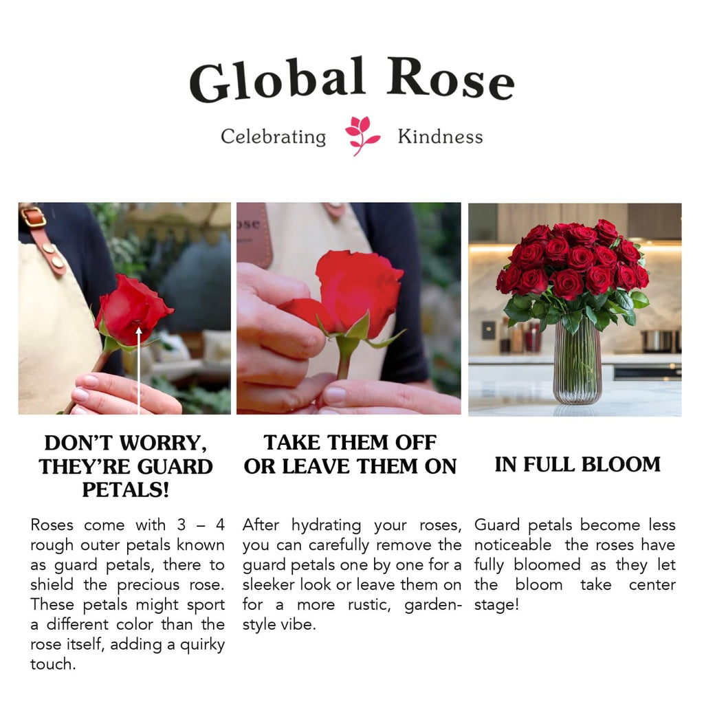 GlobalRose 100 Assorted Roses Bouquet - Responsibly Sourced Roses Fresh Flowers - Hand-Picked Flowers Fresh Bouquet for Mother's Day, Birthday & Special Occasions (4 Bunches of 25 Stems)
