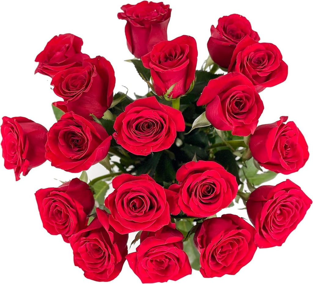 25 Pink Roses | Arabella Bouquets | Real Fresh Flowers for Delivery, Gift for Birthday Women, Congratulations, Anniversary, Thank You, Mother's Day
