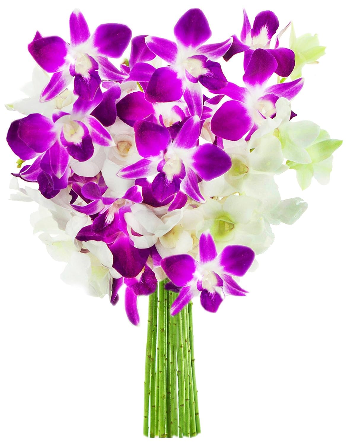 KaBloom - Bouquet of 20 Exotic Purple Dendrobium Orchids from Thailand with Vase - Fresh Flowers for Birthday, Valentine's & Mother's Day