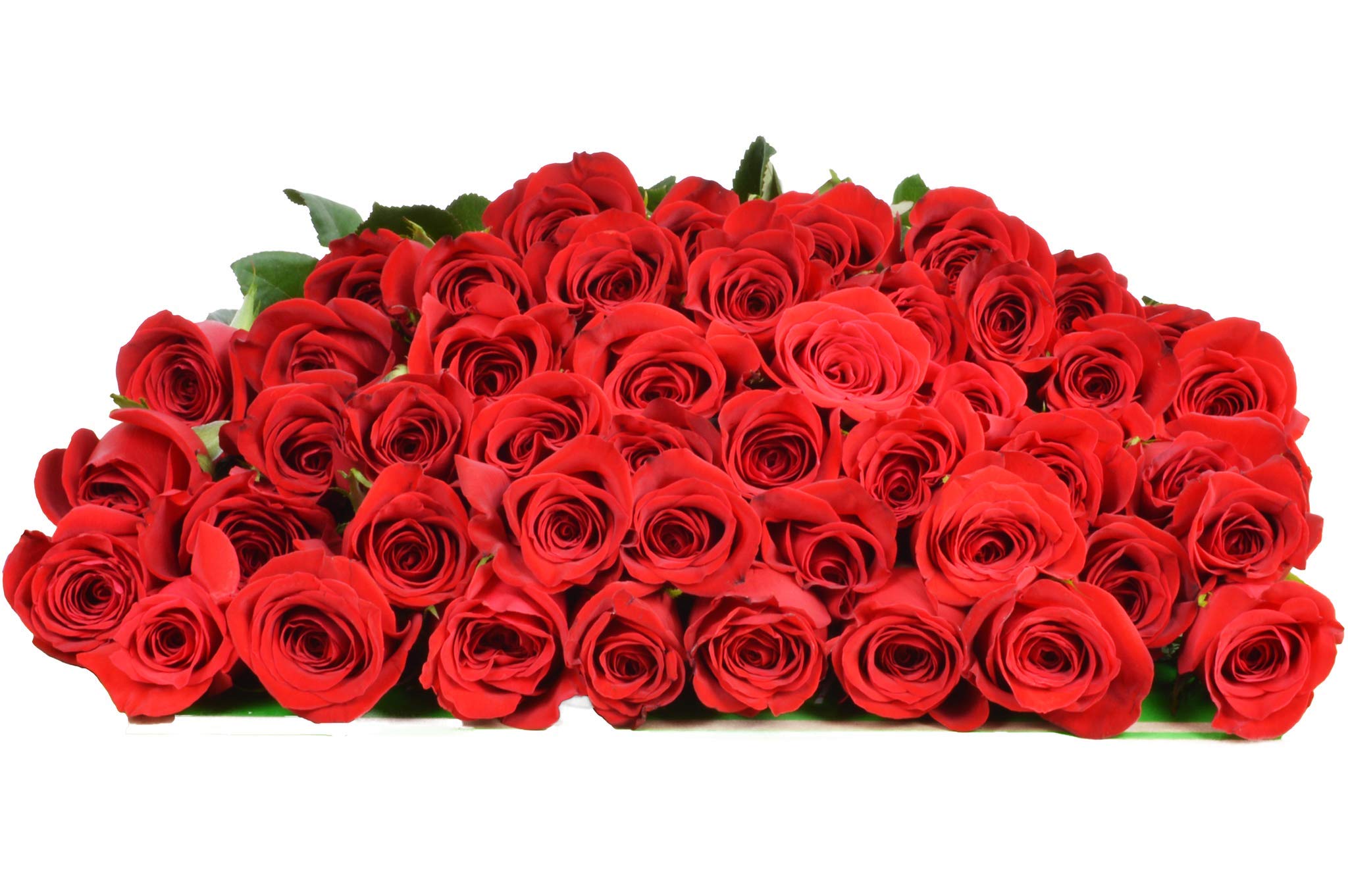 25 Pink Roses | Arabella Bouquets | Real Fresh Flowers for Delivery, Gift for Birthday Women, Congratulations, Anniversary, Thank You, Mother's Day