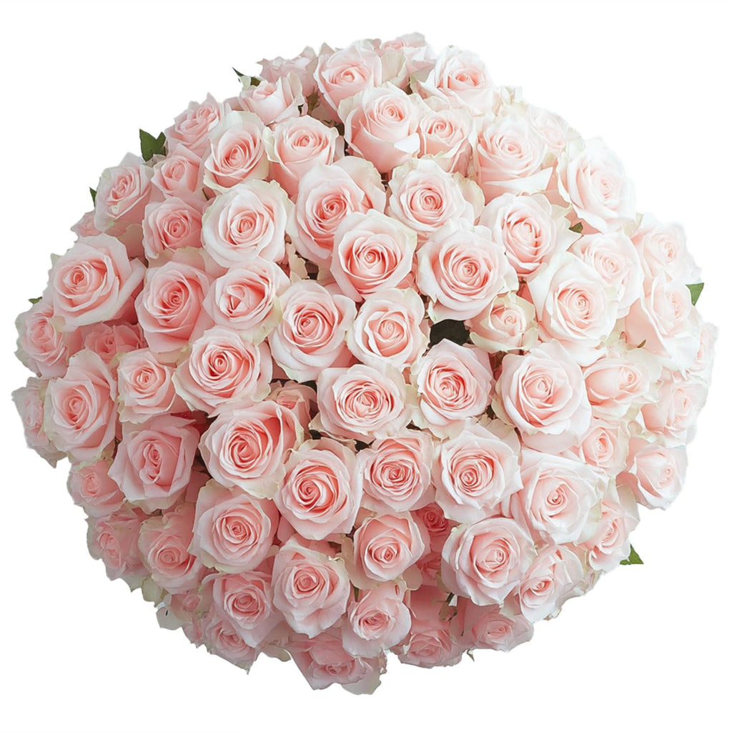 GlobalRose 100 Assorted Roses Bouquet - Responsibly Sourced Roses Fresh Flowers - Hand-Picked Flowers Fresh Bouquet for Mother's Day, Birthday & Special Occasions (4 Bunches of 25 Stems)