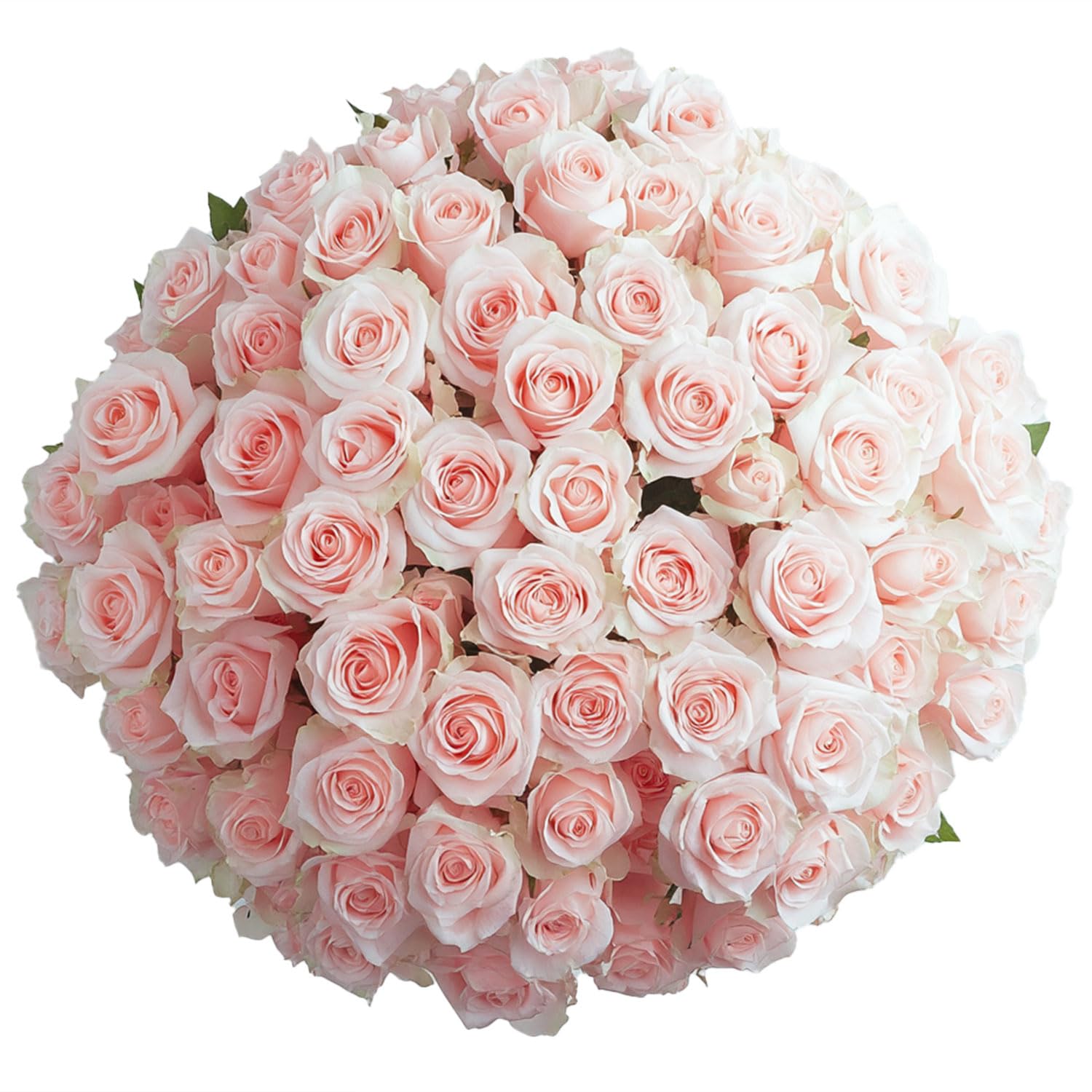 GlobalRose 100 Assorted Roses Bouquet - Responsibly Sourced Roses Fresh Flowers - Hand-Picked Flowers Fresh Bouquet for Mother's Day, Birthday & Special Occasions (4 Bunches of 25 Stems)