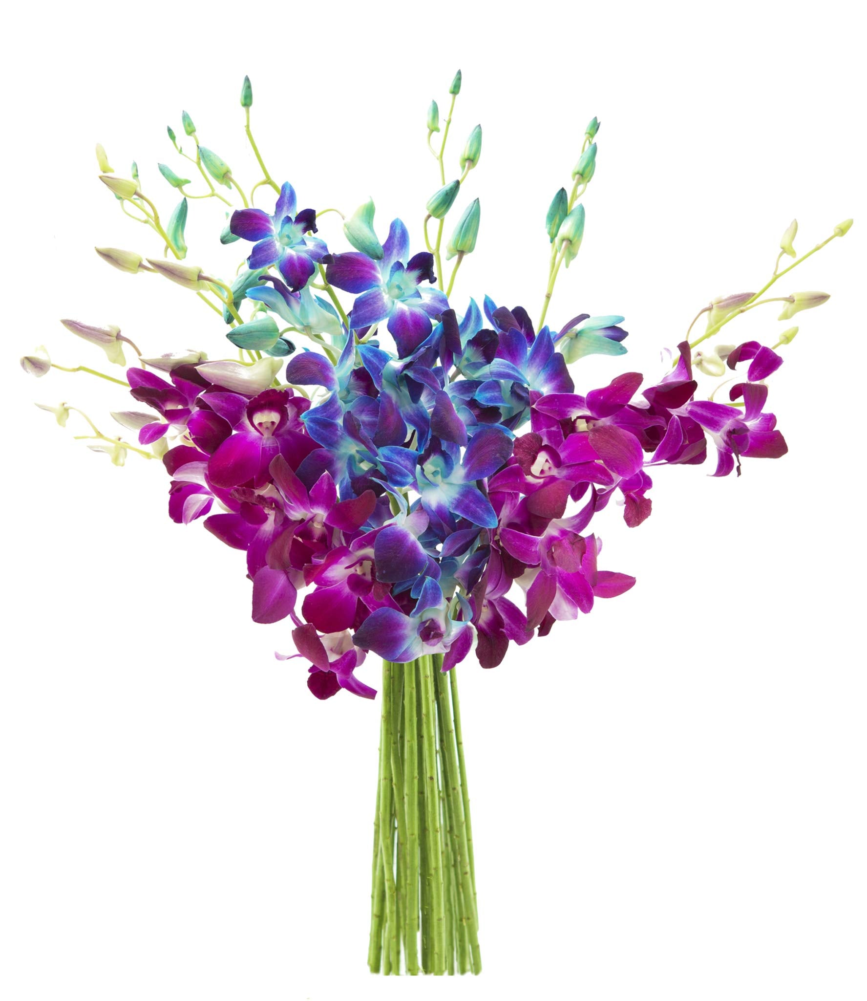 KaBloom - Bouquet of 20 Exotic Purple Dendrobium Orchids from Thailand with Vase - Fresh Flowers for Birthday, Valentine's & Mother's Day