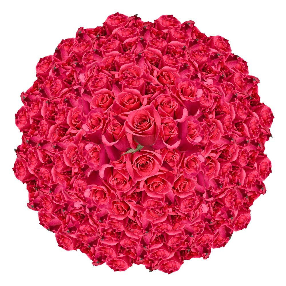 GlobalRose 100 Assorted Roses Bouquet - Responsibly Sourced Roses Fresh Flowers - Hand-Picked Flowers Fresh Bouquet for Mother's Day, Birthday & Special Occasions (4 Bunches of 25 Stems)