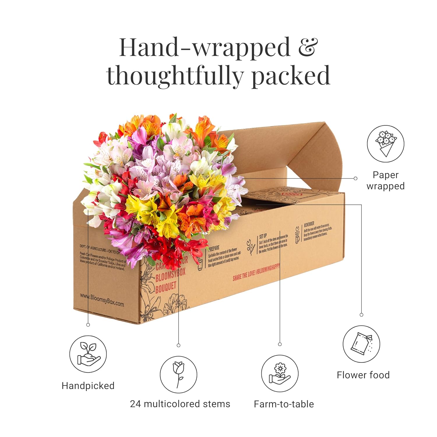 24 Multicolored Alstroemeria Bouquet Flowers, Long Lasting & Hand-Tied, Farm Fresh Cut Flowers Bouquet - Gift for Birthday, Anniversary, Mothers Day Flowers | No Vase.