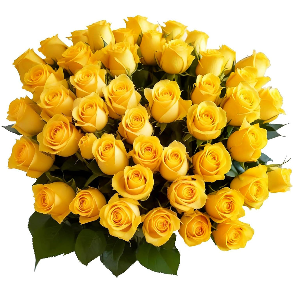25 Pink Roses | Arabella Bouquets | Real Fresh Flowers for Delivery, Gift for Birthday Women, Congratulations, Anniversary, Thank You, Mother's Day