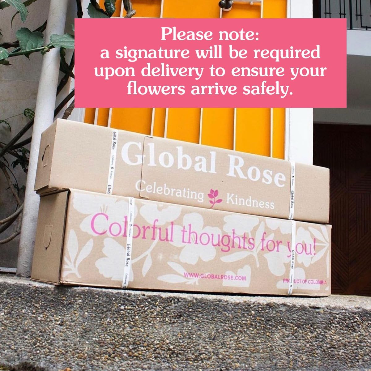 GlobalRose 100 Assorted Roses Bouquet - Responsibly Sourced Roses Fresh Flowers - Hand-Picked Flowers Fresh Bouquet for Mother's Day, Birthday & Special Occasions (4 Bunches of 25 Stems)
