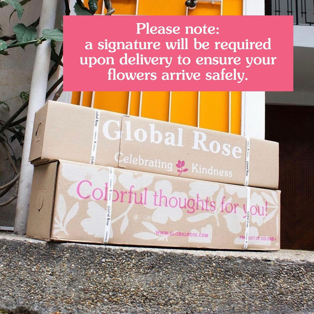 GlobalRose 100 Assorted Roses Bouquet - Responsibly Sourced Roses Fresh Flowers - Hand-Picked Flowers Fresh Bouquet for Mother's Day, Birthday & Special Occasions (4 Bunches of 25 Stems)