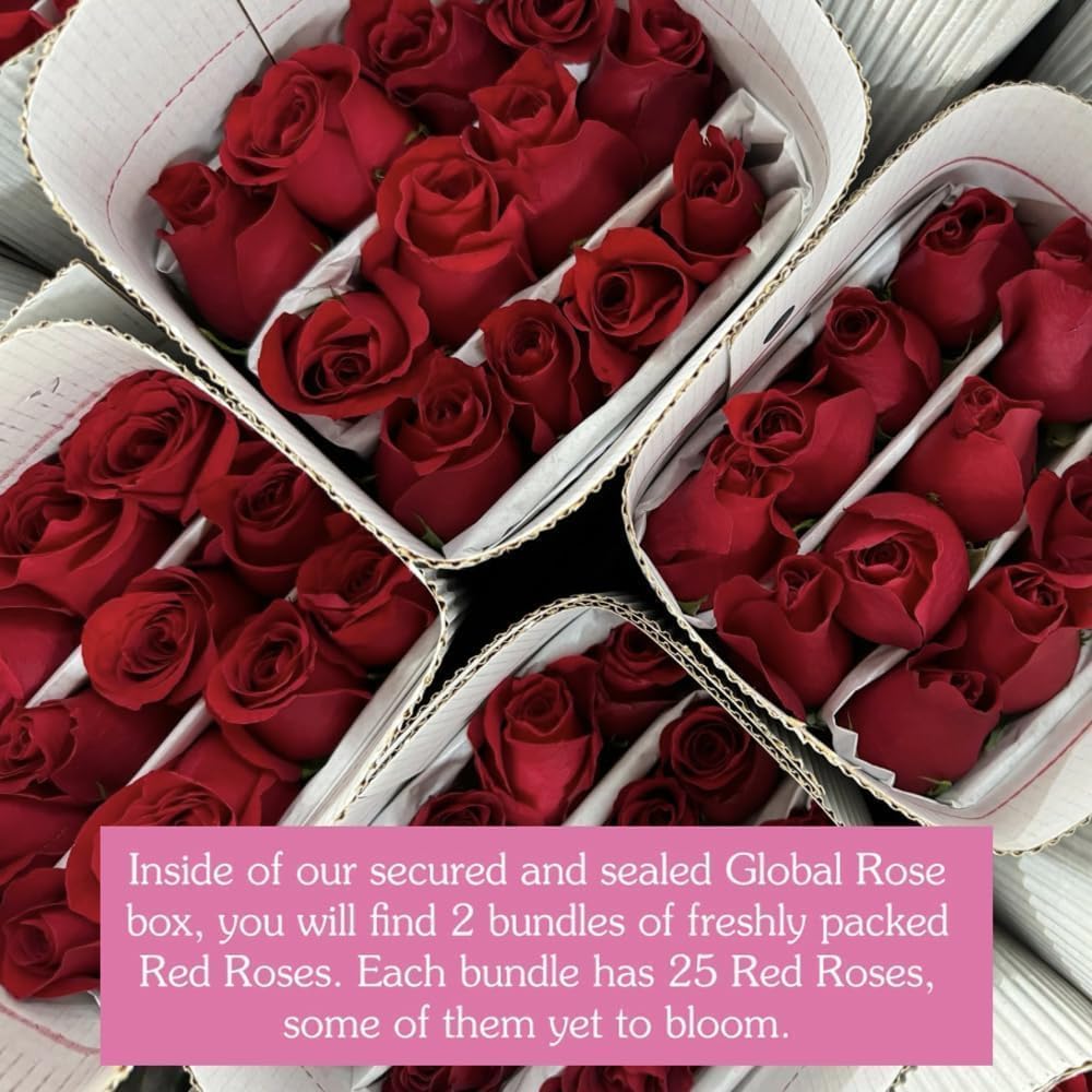 GlobalRose 100 Assorted Roses Bouquet - Responsibly Sourced Roses Fresh Flowers - Hand-Picked Flowers Fresh Bouquet for Mother's Day, Birthday & Special Occasions (4 Bunches of 25 Stems)