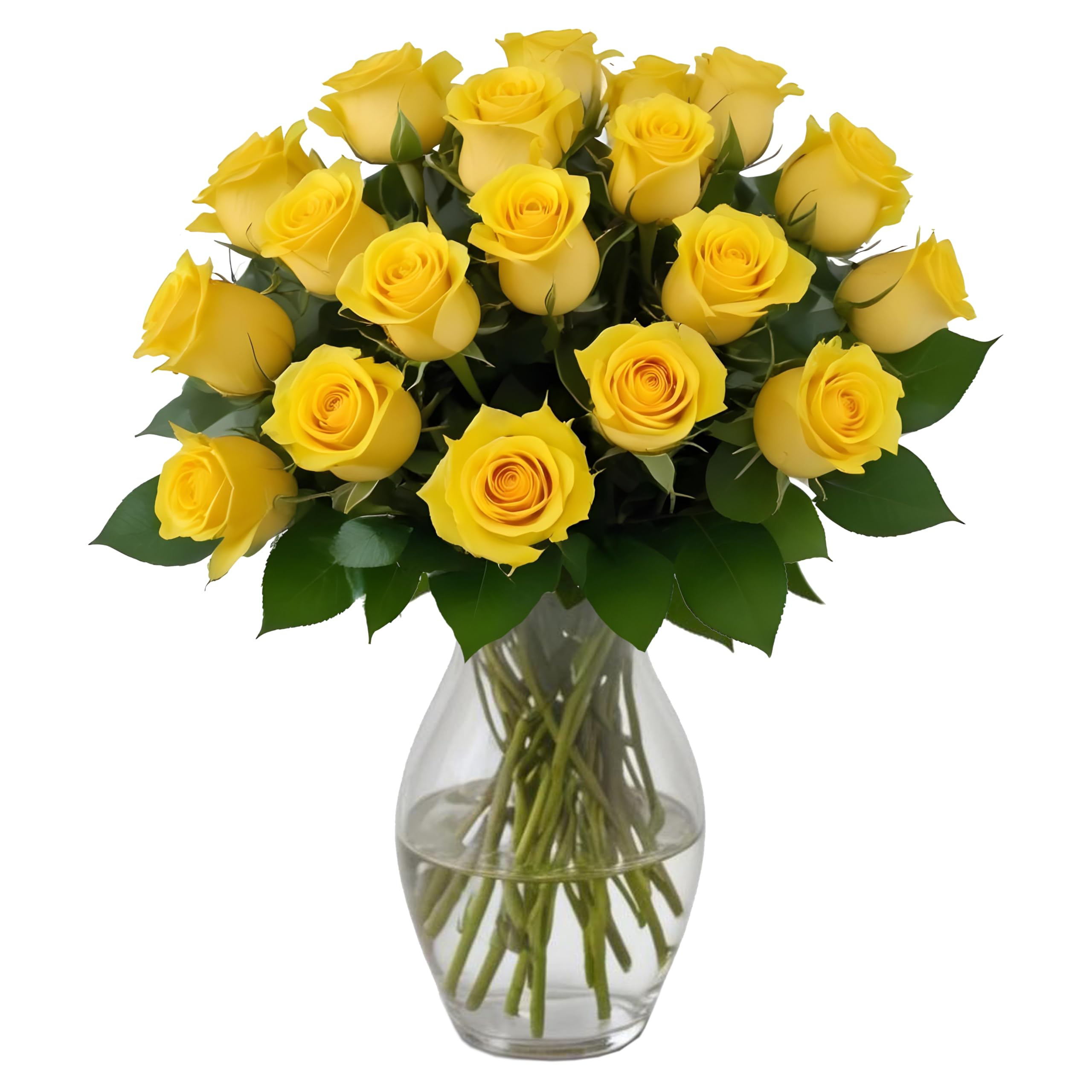 25 Pink Roses | Arabella Bouquets | Real Fresh Flowers for Delivery, Gift for Birthday Women, Congratulations, Anniversary, Thank You, Mother's Day