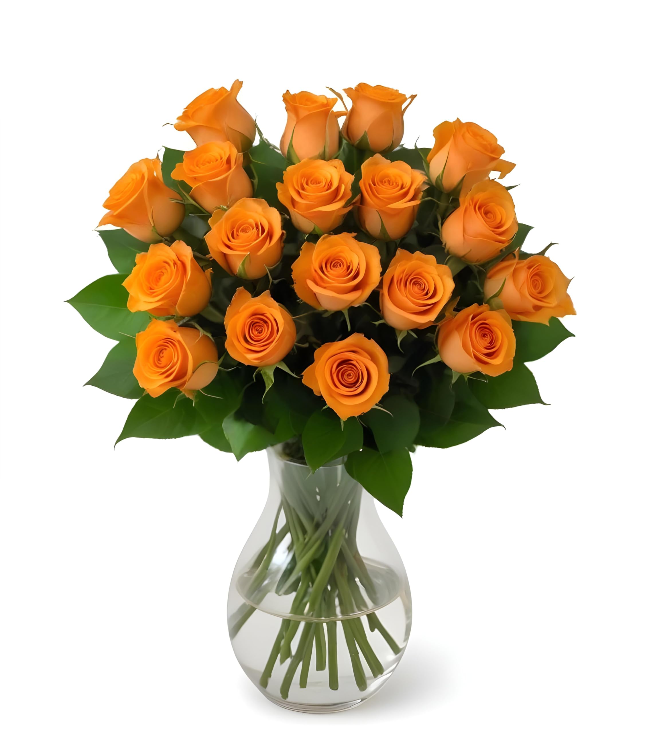 25 Pink Roses | Arabella Bouquets | Real Fresh Flowers for Delivery, Gift for Birthday Women, Congratulations, Anniversary, Thank You, Mother's Day