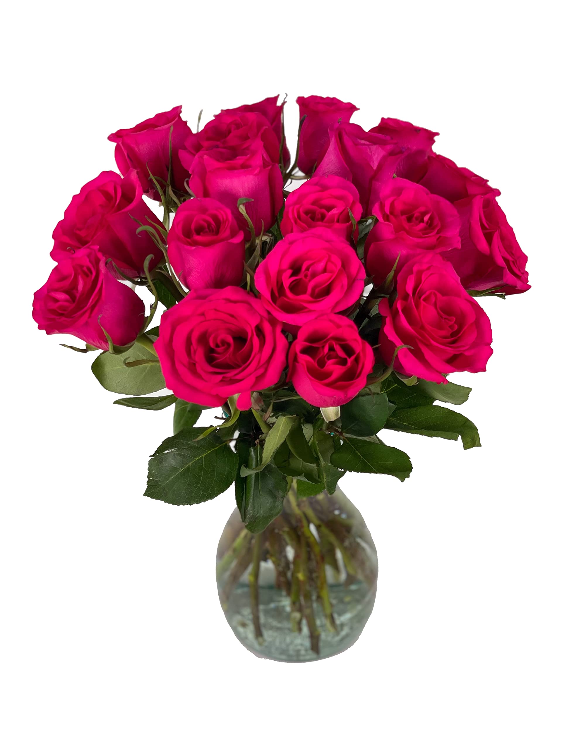 25 Pink Roses | Arabella Bouquets | Real Fresh Flowers for Delivery, Gift for Birthday Women, Congratulations, Anniversary, Thank You, Mother's Day
