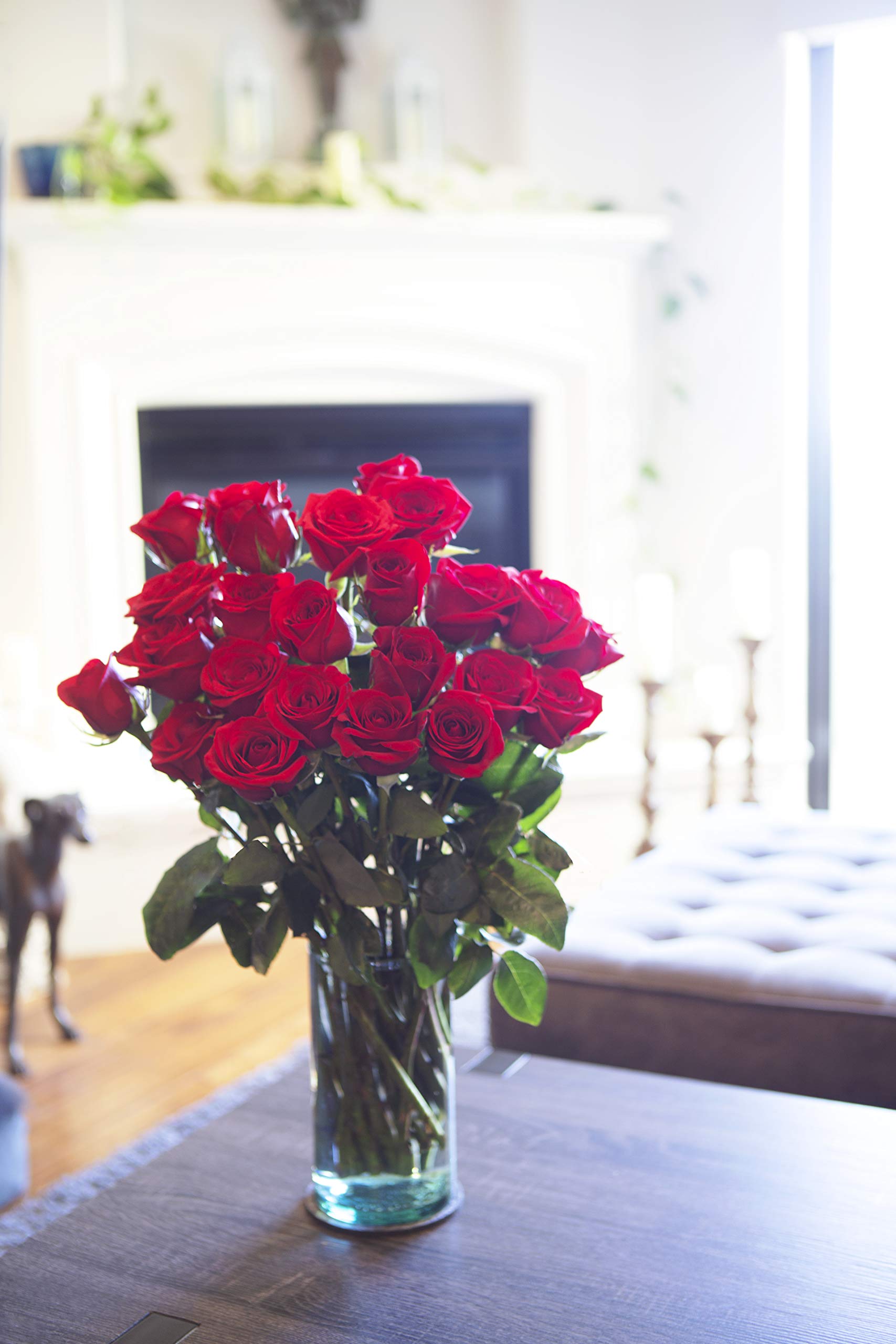 25 Pink Roses | Arabella Bouquets | Real Fresh Flowers for Delivery, Gift for Birthday Women, Congratulations, Anniversary, Thank You, Mother's Day