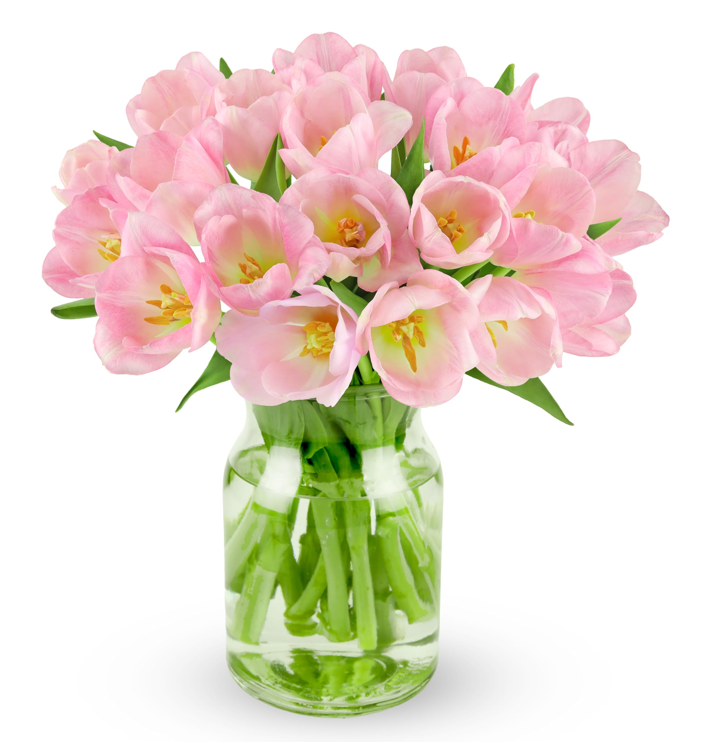 Benchmark Bouquets Pink Tulips – Mothers Day Flowers for Mom – Fresh Flowers for Delivery – Pink Bouquet – Birthday Gifts for Women – Fresh Cut Tulips – Glass Vase Included (20 Stems)
