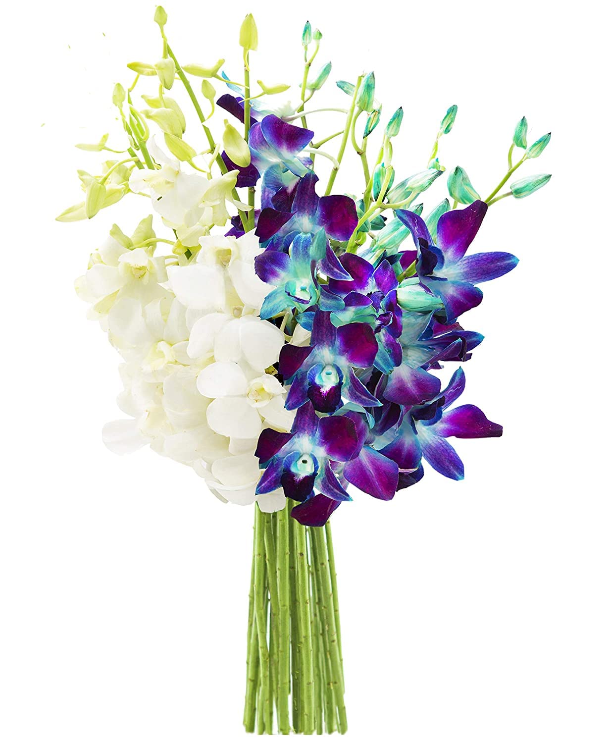 KaBloom - Bouquet of 20 Exotic Purple Dendrobium Orchids from Thailand with Vase - Fresh Flowers for Birthday, Valentine's & Mother's Day