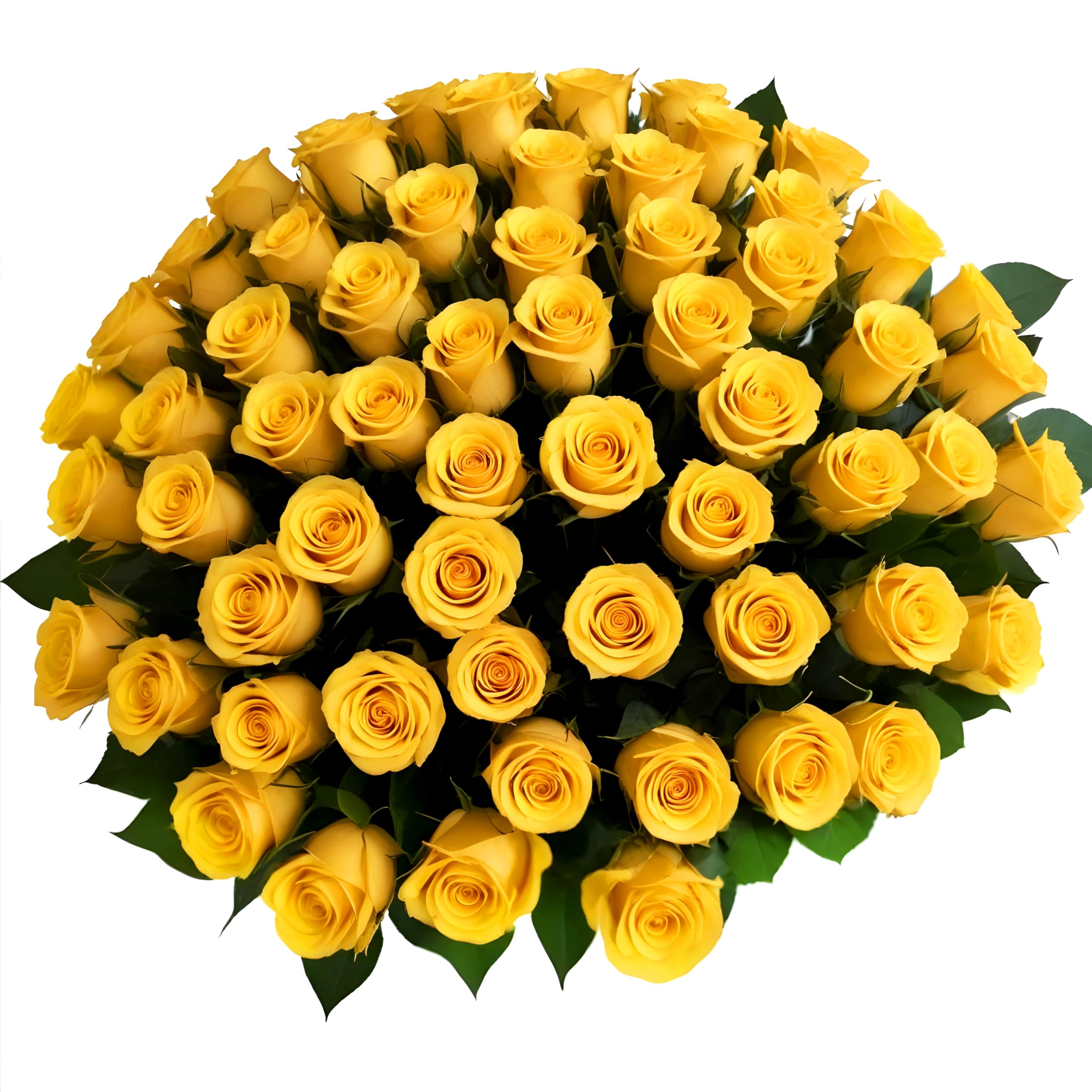 25 Pink Roses | Arabella Bouquets | Real Fresh Flowers for Delivery, Gift for Birthday Women, Congratulations, Anniversary, Thank You, Mother's Day