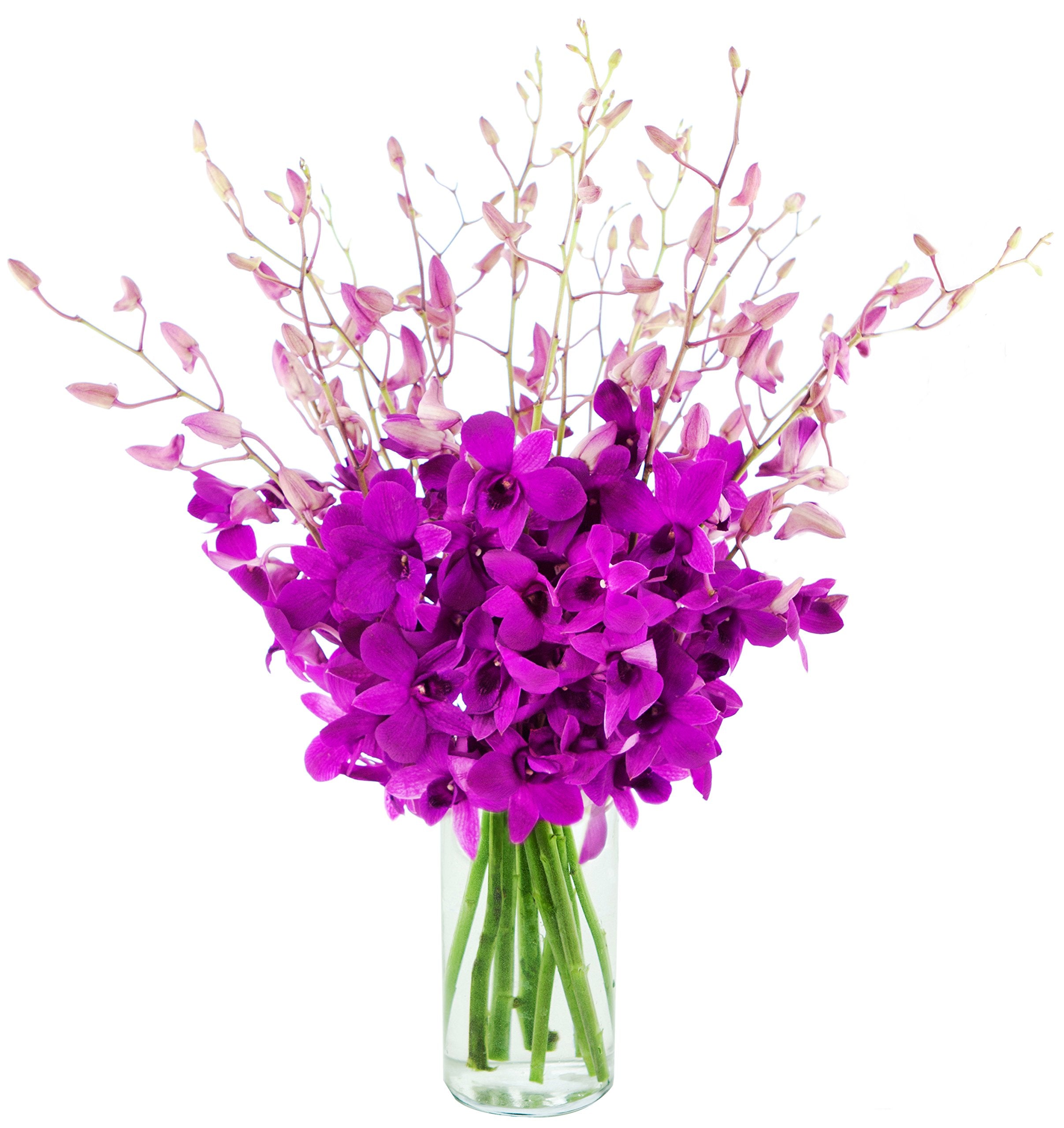 KaBloom - Bouquet of 20 Exotic Purple Dendrobium Orchids from Thailand with Vase - Fresh Flowers for Birthday, Valentine's & Mother's Day