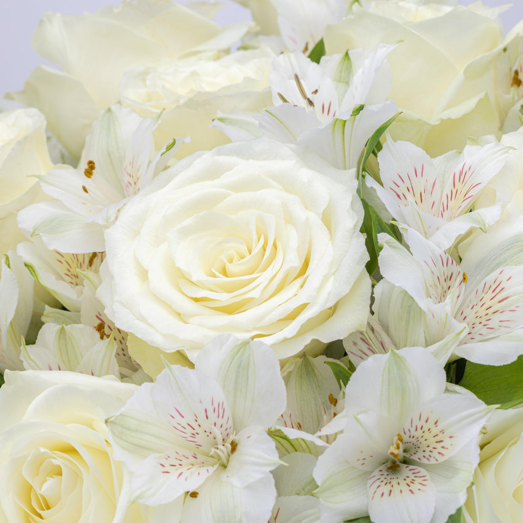 Benchmark Bouquets - Charming Roses & Alstroemeria (Glass Vase Included) - Fresh Flowers for Delivery - Gift for Graduation, Birthday, Anniversary, Sympathy, Get Well, Congratulations