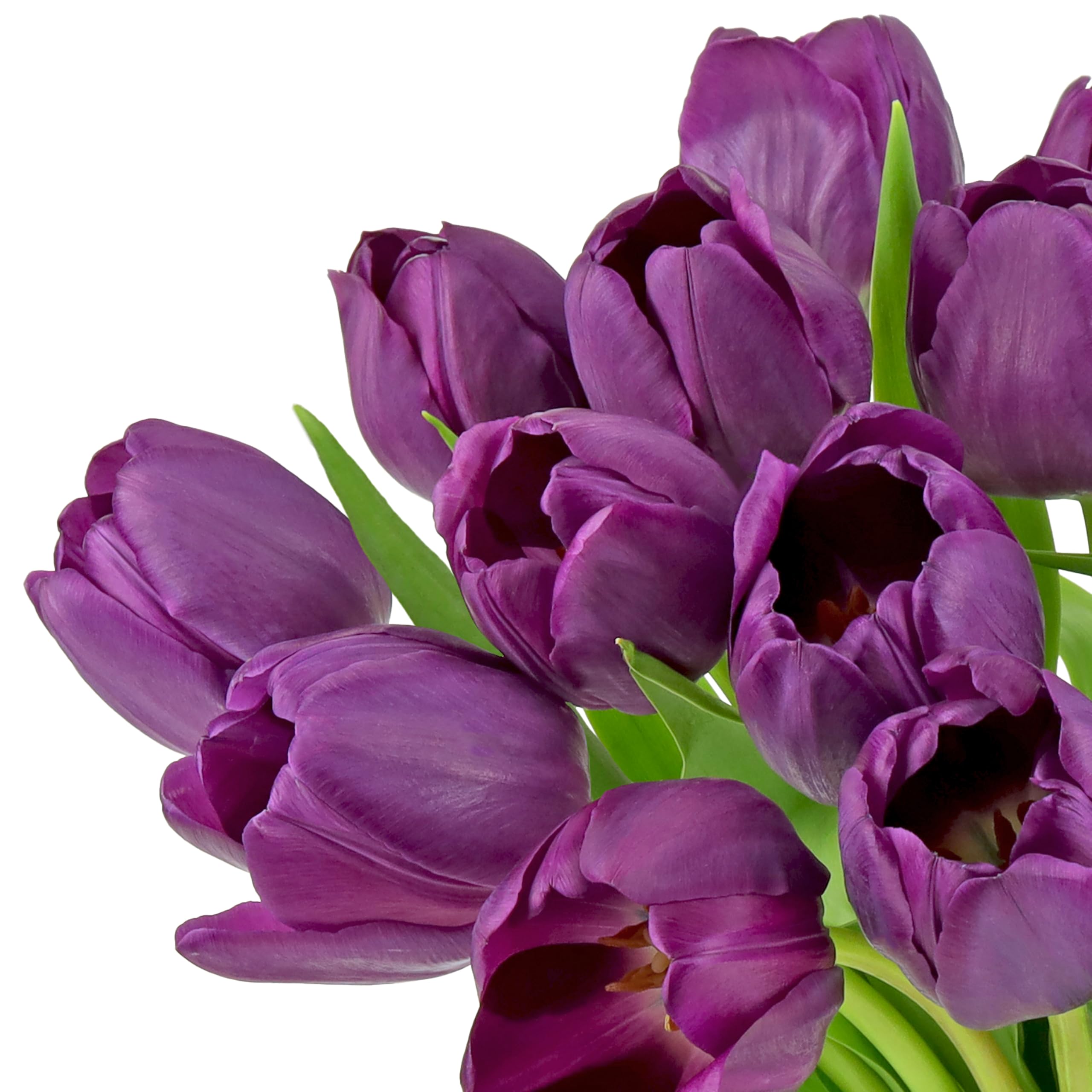 Benchmark Bouquets Pink Tulips – Mothers Day Flowers for Mom – Fresh Flowers for Delivery – Pink Bouquet – Birthday Gifts for Women – Fresh Cut Tulips – Glass Vase Included (20 Stems)