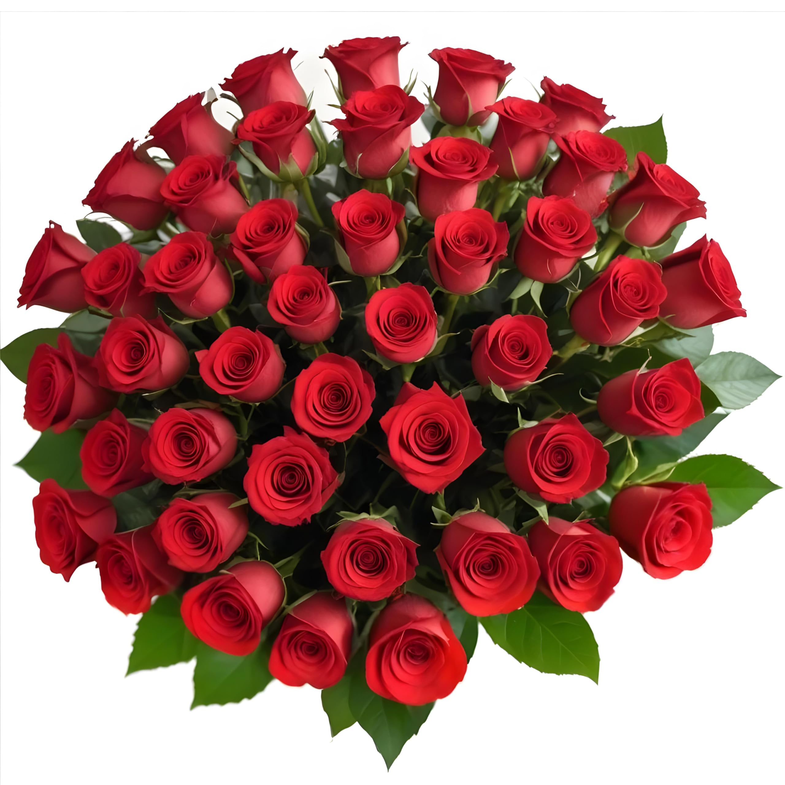 25 Pink Roses | Arabella Bouquets | Real Fresh Flowers for Delivery, Gift for Birthday Women, Congratulations, Anniversary, Thank You, Mother's Day