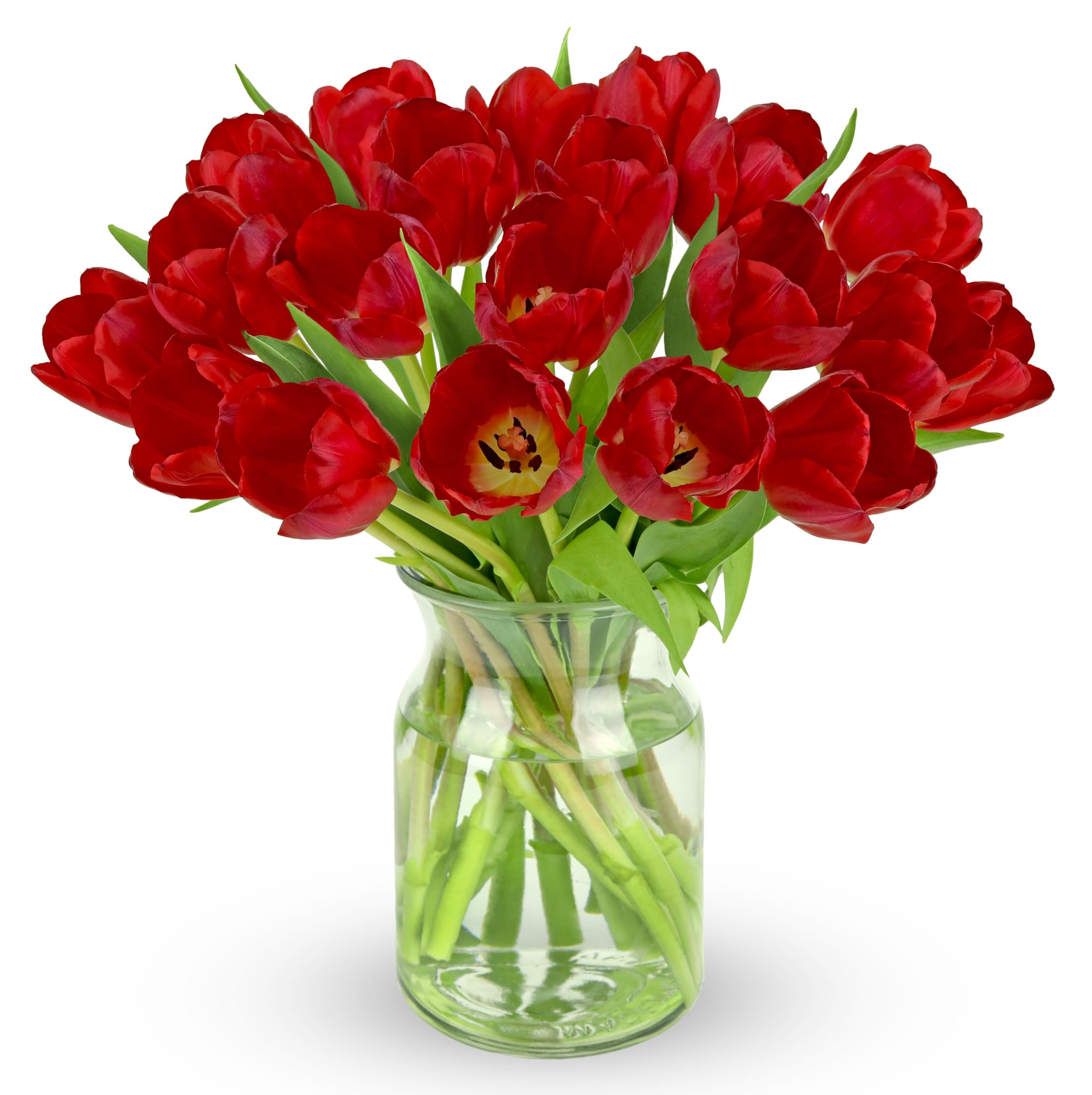 Benchmark Bouquets Pink Tulips – Mothers Day Flowers for Mom – Fresh Flowers for Delivery – Pink Bouquet – Birthday Gifts for Women – Fresh Cut Tulips – Glass Vase Included (20 Stems)