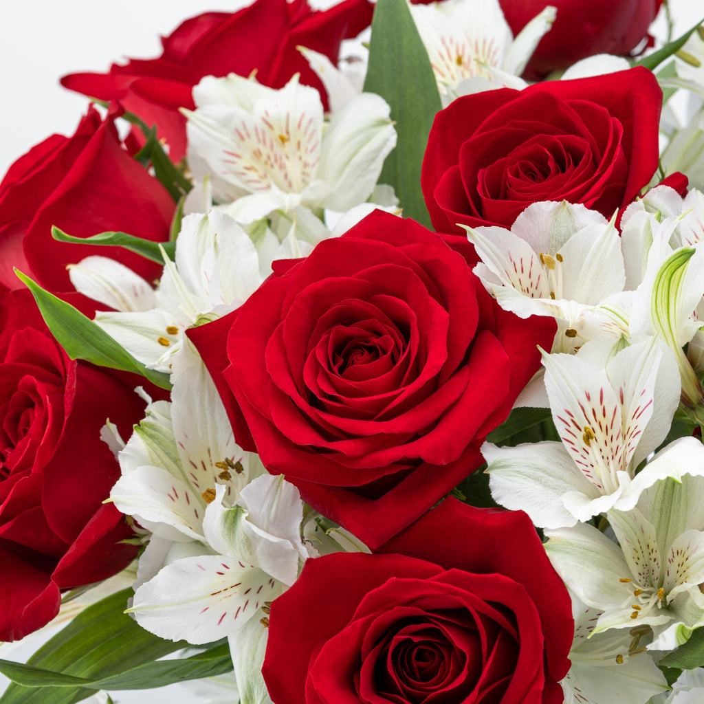 Benchmark Bouquets - Charming Roses & Alstroemeria (Glass Vase Included) - Fresh Flowers for Delivery - Gift for Graduation, Birthday, Anniversary, Sympathy, Get Well, Congratulations