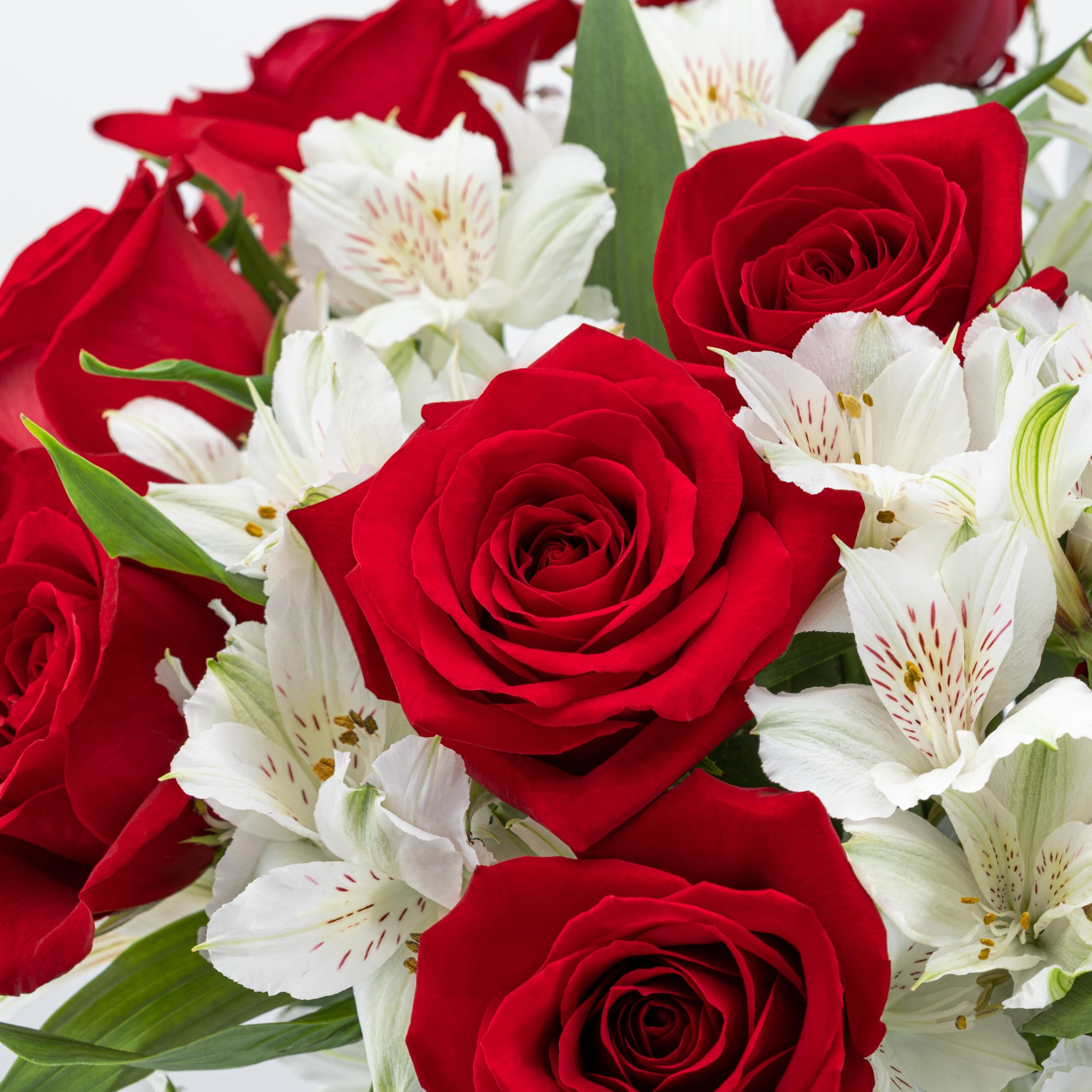 Benchmark Bouquets - Charming Roses & Alstroemeria (Glass Vase Included) - Fresh Flowers for Delivery - Gift for Graduation, Birthday, Anniversary, Sympathy, Get Well, Congratulations